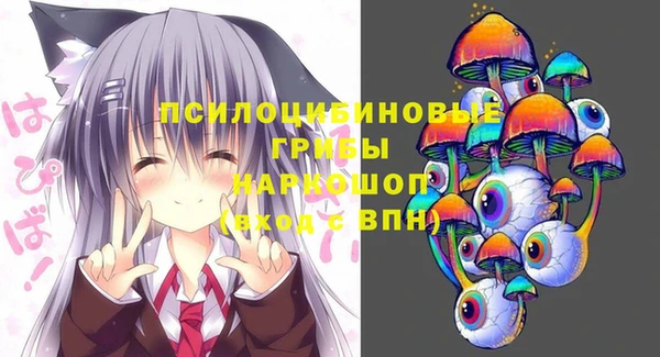 тгк Каменка