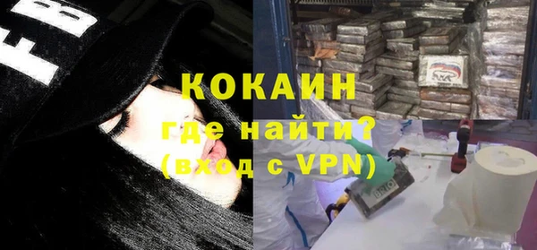 тгк Каменка